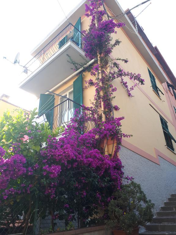 Apartament Da Rita San Terenzo Zewnętrze zdjęcie